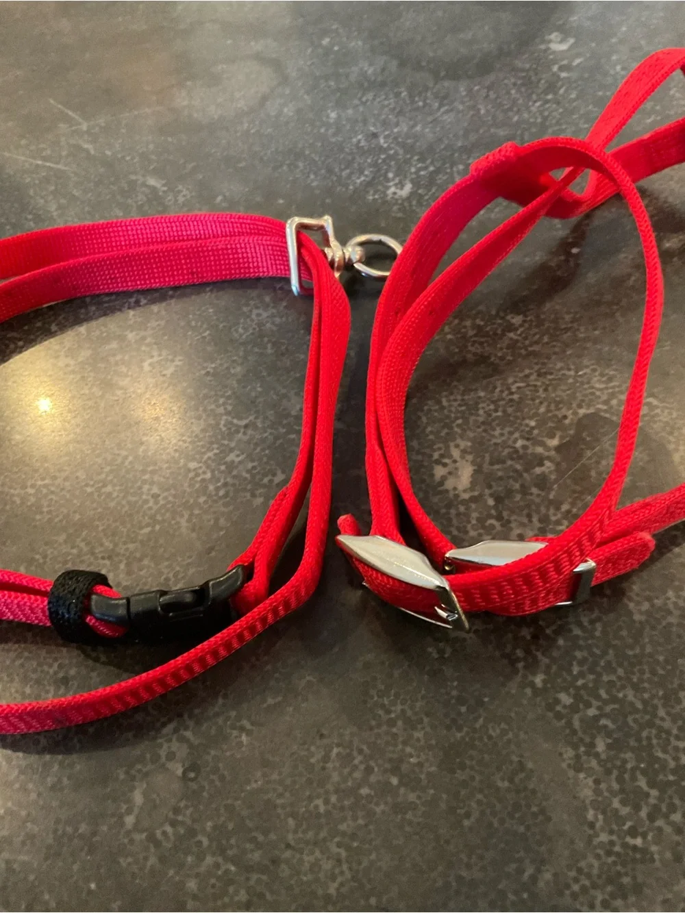Bright Red Nylon Cat Harness and Leash Set